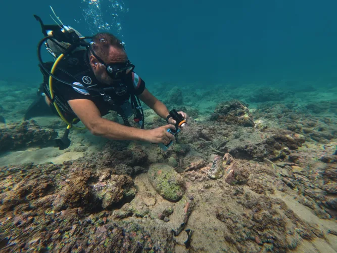 Tyre’s ruins survived the strikes. Now divers are finding their  way back underwater